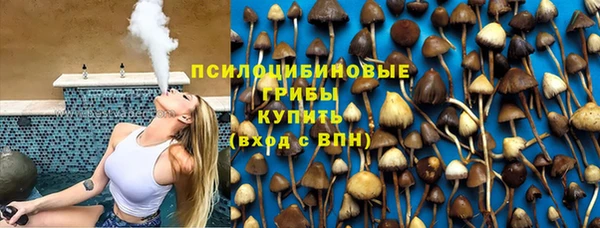 трава Пересвет