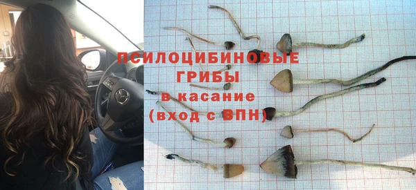 прущая мука Пестово