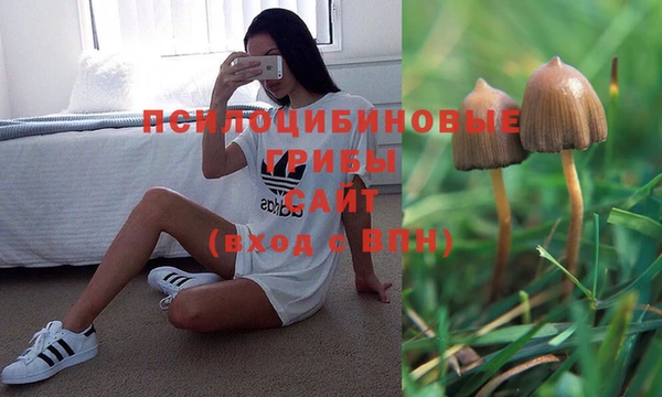 прущая мука Пестово