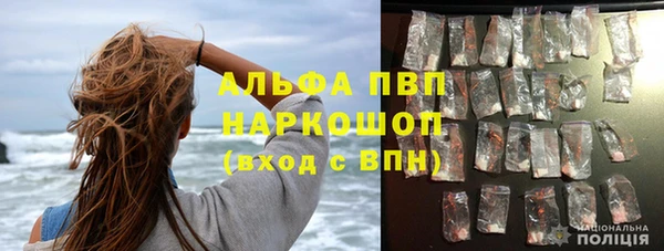 трава Пересвет